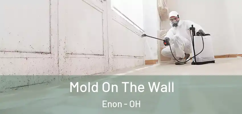 Mold On The Wall Enon - OH