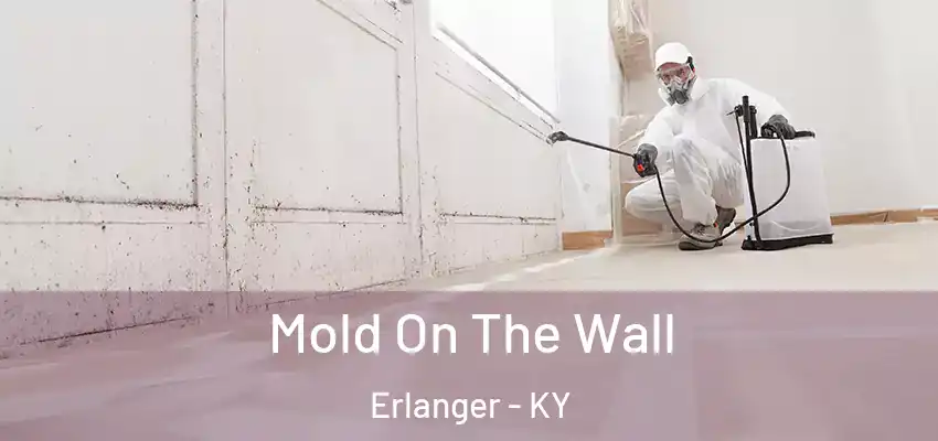Mold On The Wall Erlanger - KY