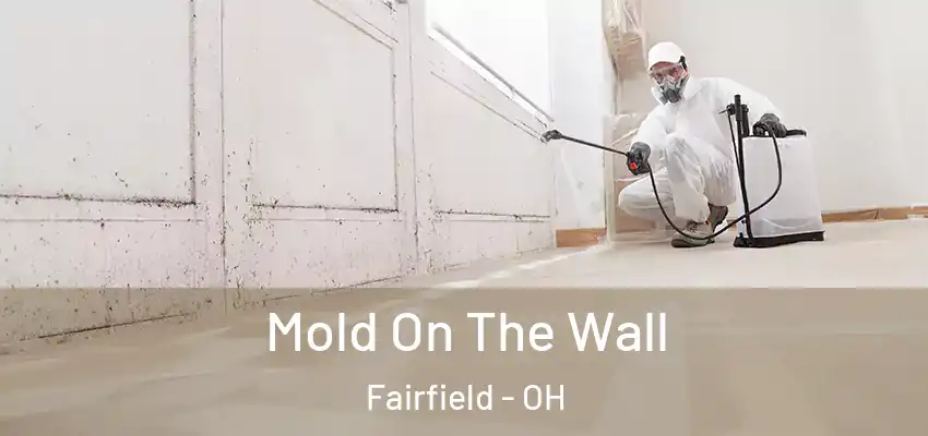 Mold On The Wall Fairfield - OH