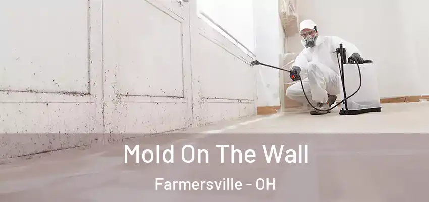  Mold On The Wall Farmersville - OH