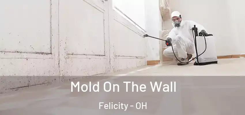  Mold On The Wall Felicity - OH