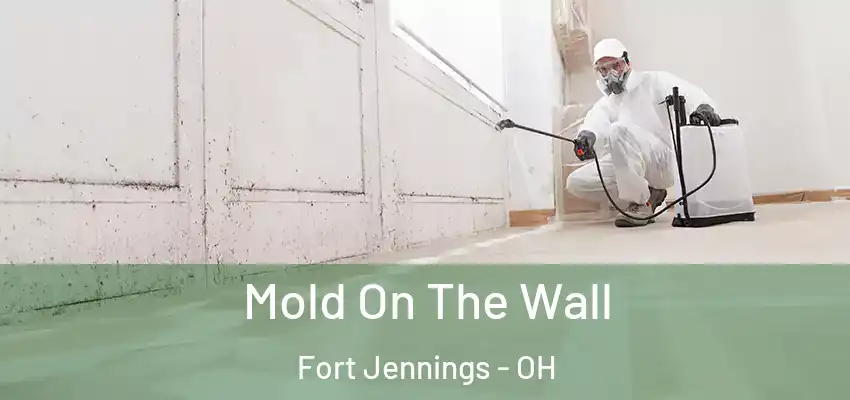  Mold On The Wall Fort Jennings - OH
