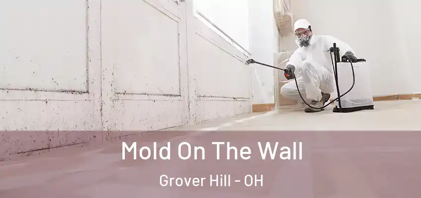  Mold On The Wall Grover Hill - OH