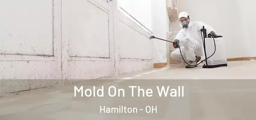  Mold On The Wall Hamilton - OH