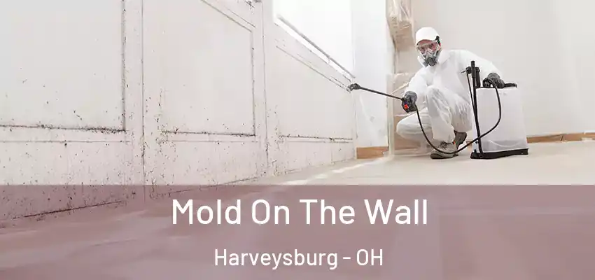  Mold On The Wall Harveysburg - OH