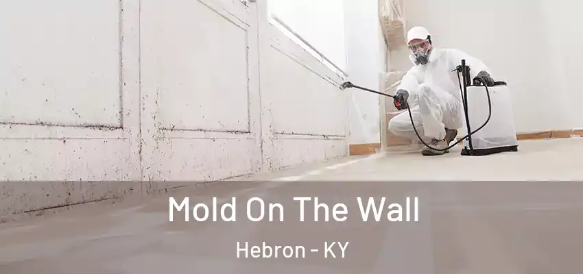 Mold On The Wall Hebron - KY