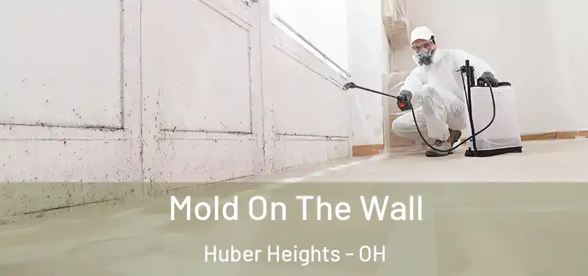  Mold On The Wall Huber Heights - OH