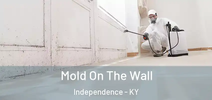 Mold On The Wall Independence - KY