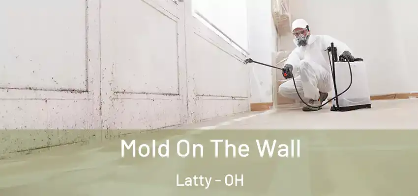 Mold On The Wall Latty - OH