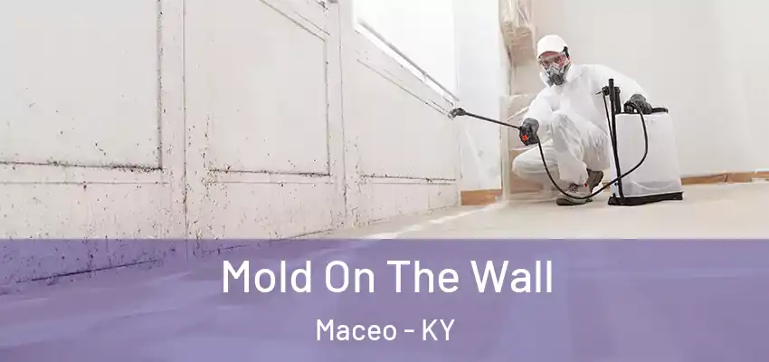 Mold On The Wall Maceo - KY