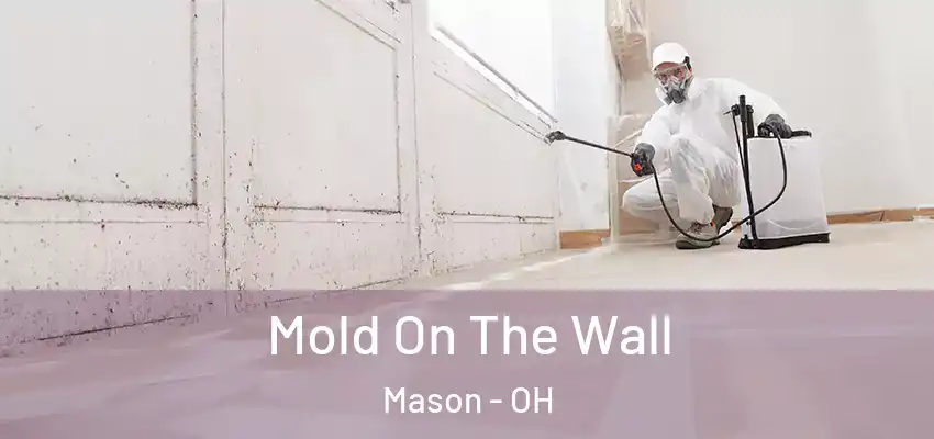  Mold On The Wall Mason - OH