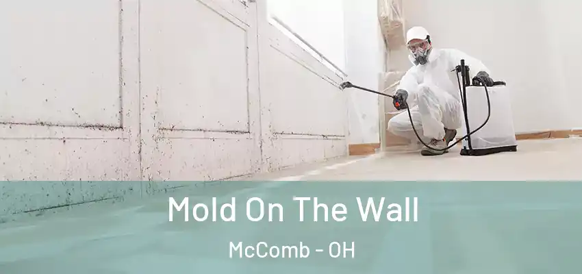 Mold On The Wall McComb - OH
