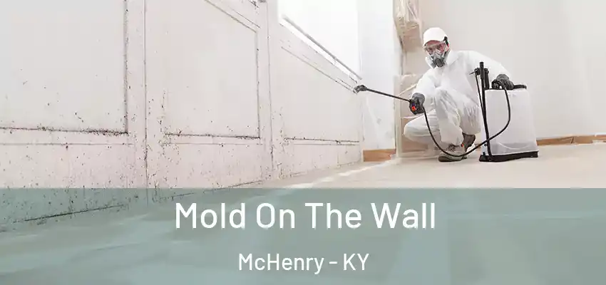 Mold On The Wall McHenry - KY