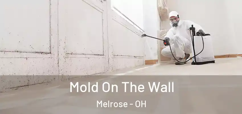 Mold On The Wall Melrose - OH