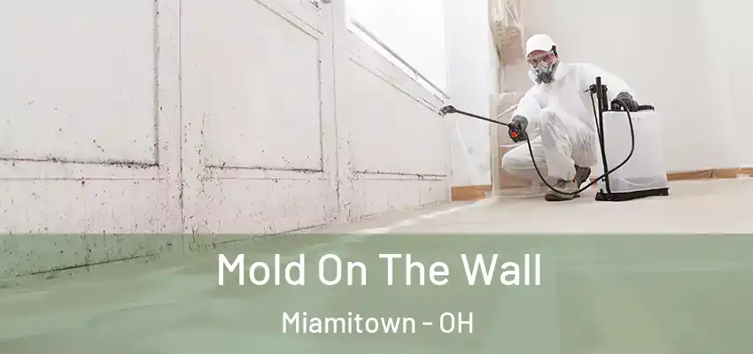  Mold On The Wall Miamitown - OH