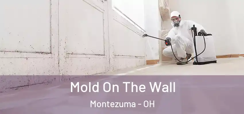 Mold On The Wall Montezuma - OH