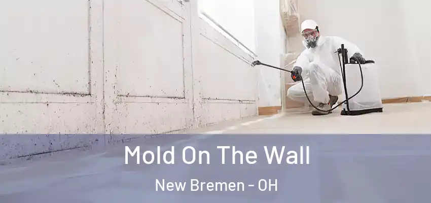 Mold On The Wall New Bremen - OH