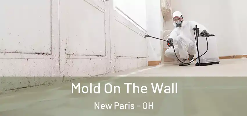Mold On The Wall New Paris - OH