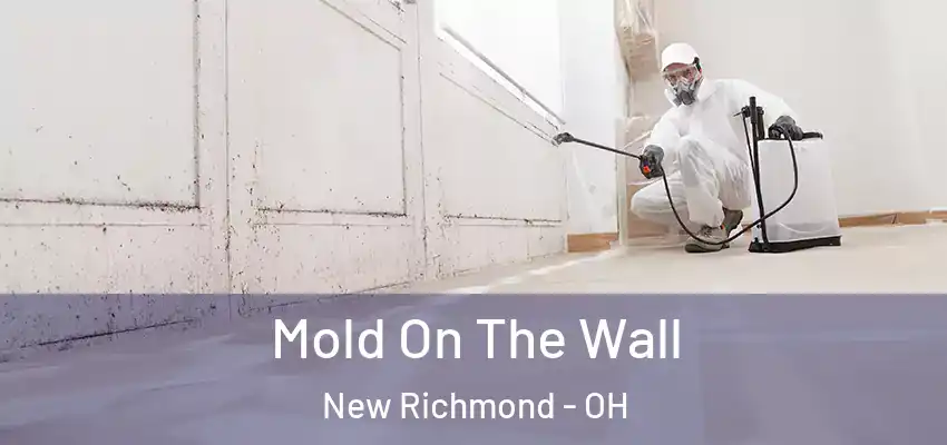  Mold On The Wall New Richmond - OH