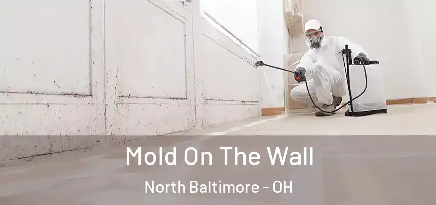 Mold On The Wall North Baltimore - OH