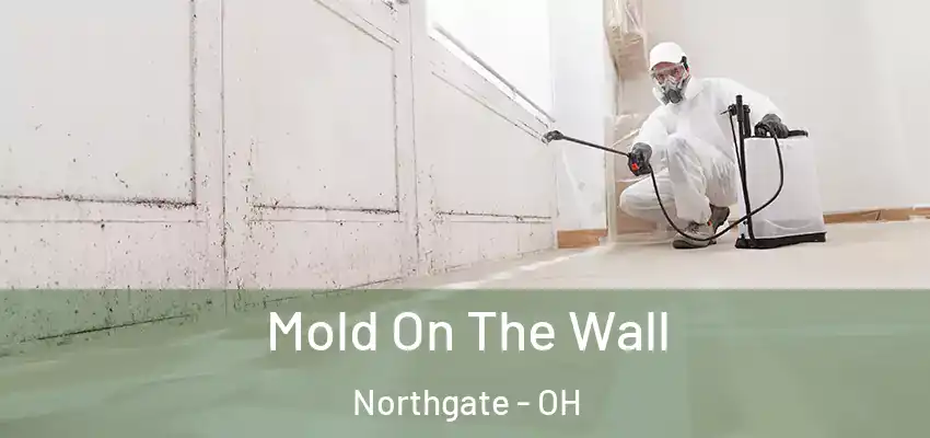 Mold On The Wall Northgate - OH