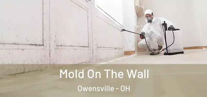  Mold On The Wall Owensville - OH