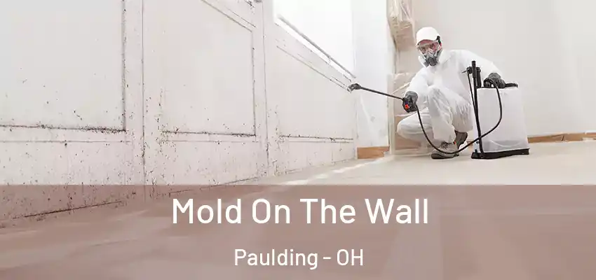  Mold On The Wall Paulding - OH