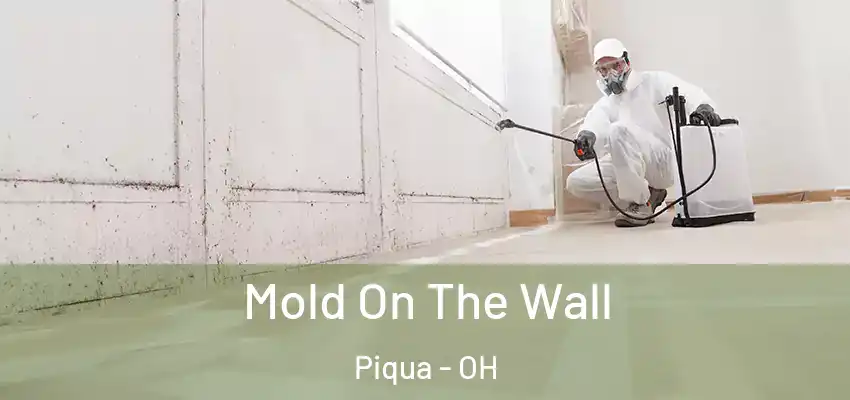 Mold On The Wall Piqua - OH