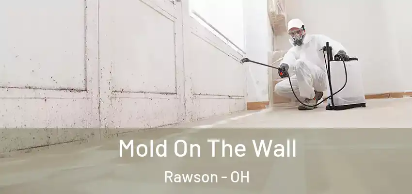  Mold On The Wall Rawson - OH