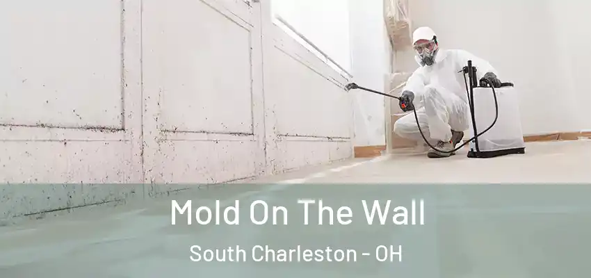  Mold On The Wall South Charleston - OH