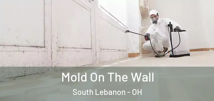  Mold On The Wall South Lebanon - OH