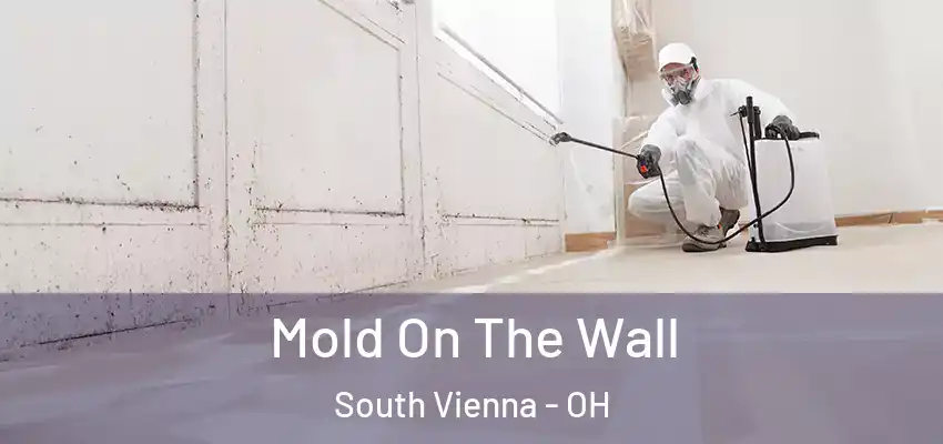  Mold On The Wall South Vienna - OH