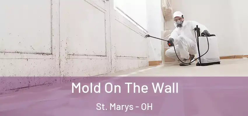  Mold On The Wall St. Marys - OH