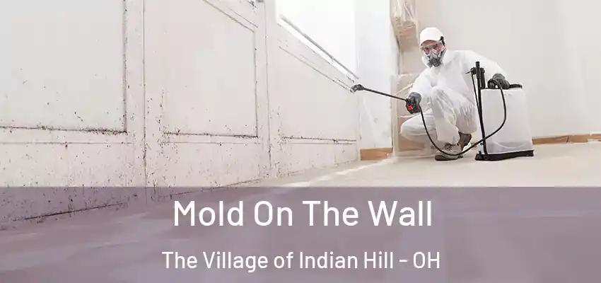 Mold On The Wall The Village of Indian Hill - OH