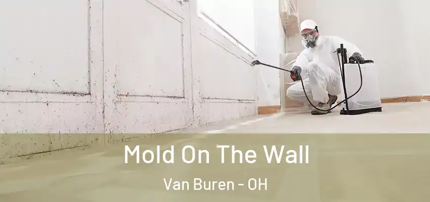  Mold On The Wall Van Buren - OH