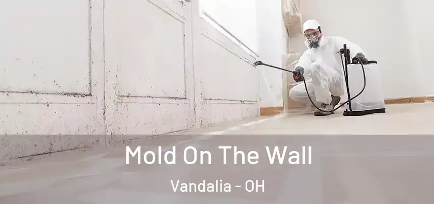  Mold On The Wall Vandalia - OH