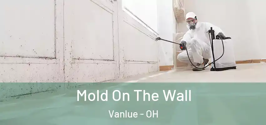 Mold On The Wall Vanlue - OH