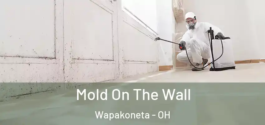  Mold On The Wall Wapakoneta - OH