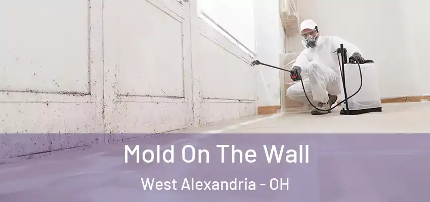  Mold On The Wall West Alexandria - OH