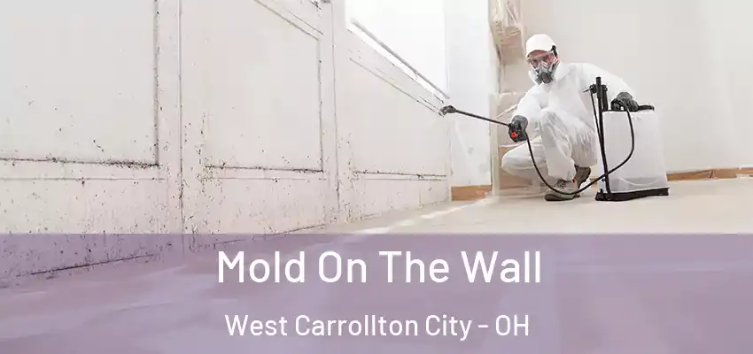 Mold On The Wall West Carrollton City - OH
