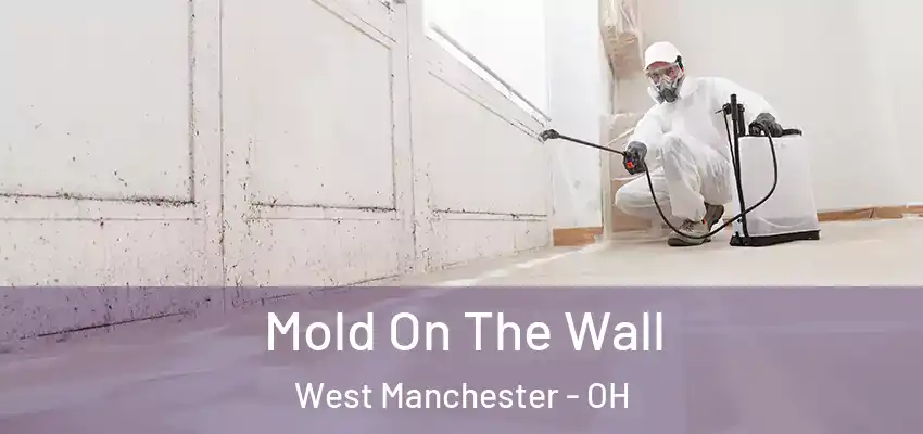 Mold On The Wall West Manchester - OH