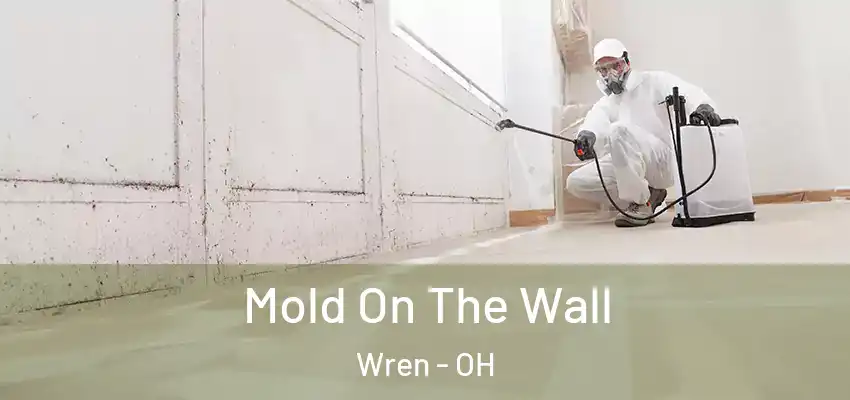 Mold On The Wall Wren - OH