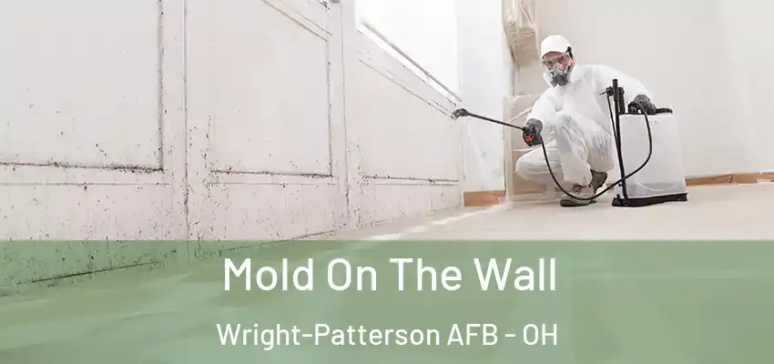  Mold On The Wall Wright-Patterson AFB - OH