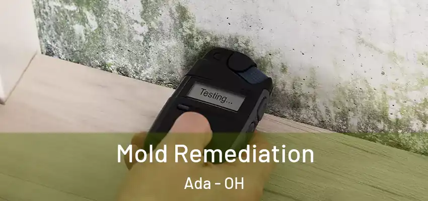 Mold Remediation Ada - OH