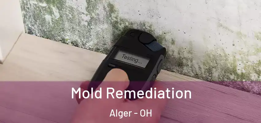 Mold Remediation Alger - OH