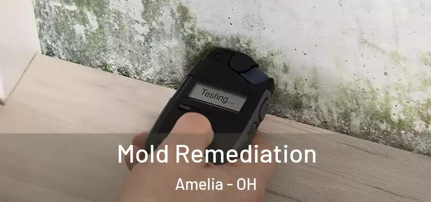  Mold Remediation Amelia - OH