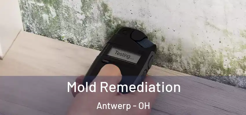  Mold Remediation Antwerp - OH