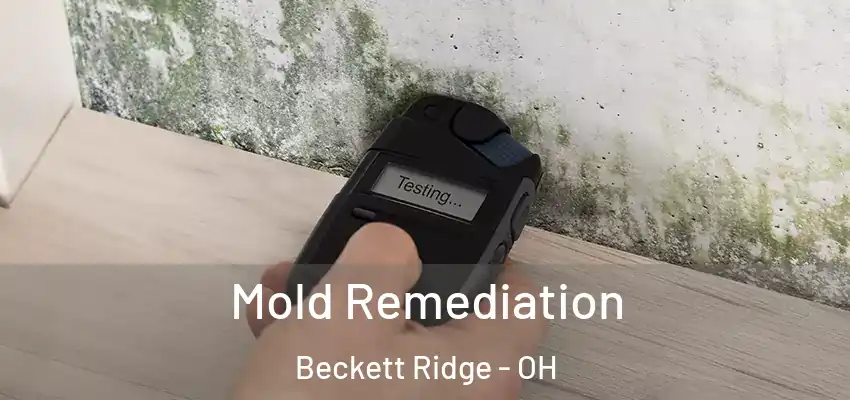  Mold Remediation Beckett Ridge - OH
