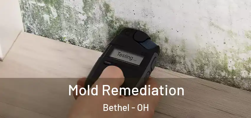  Mold Remediation Bethel - OH