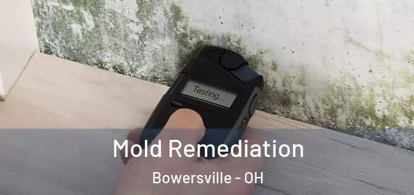  Mold Remediation Bowersville - OH